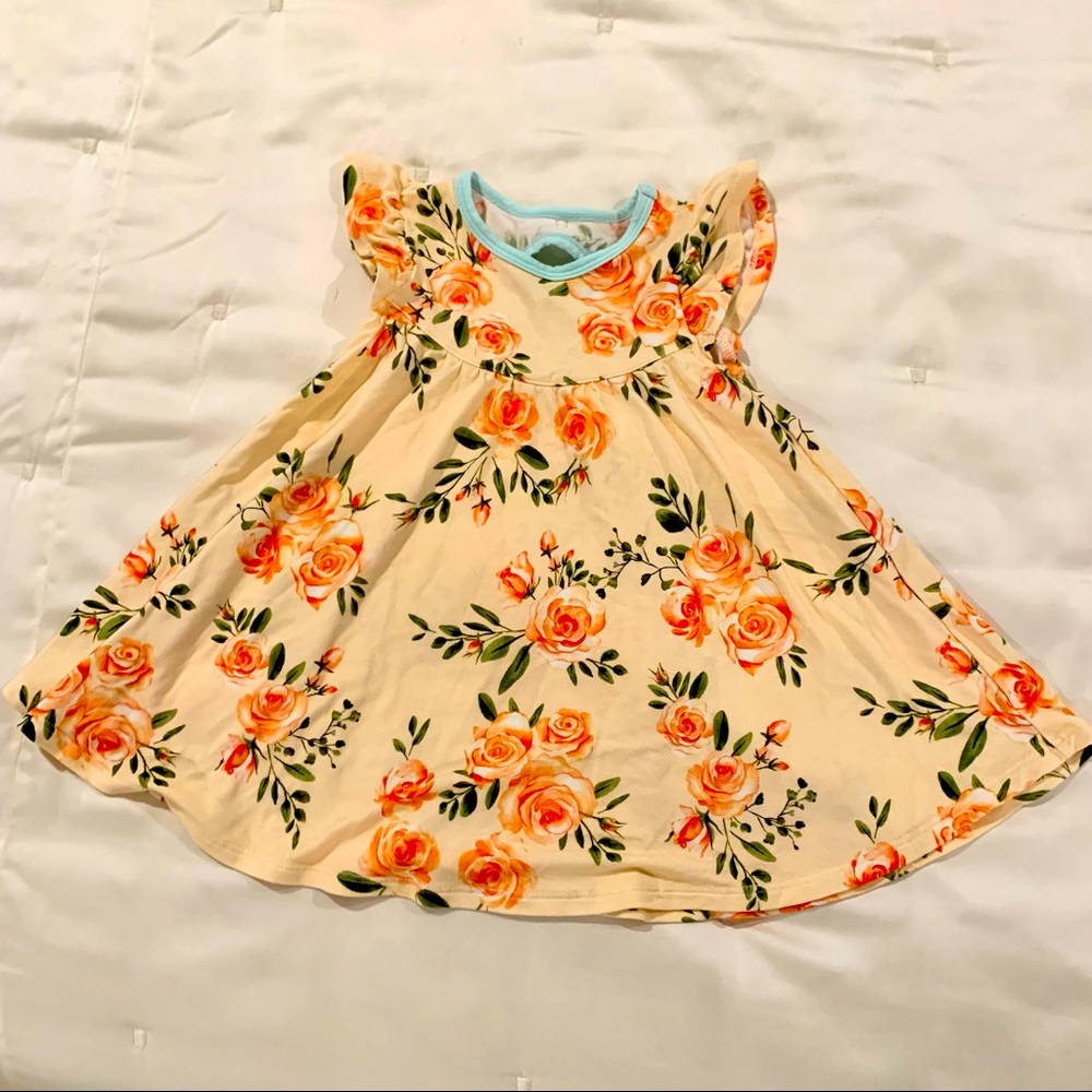 Free Birdies Rose Twirl Dress